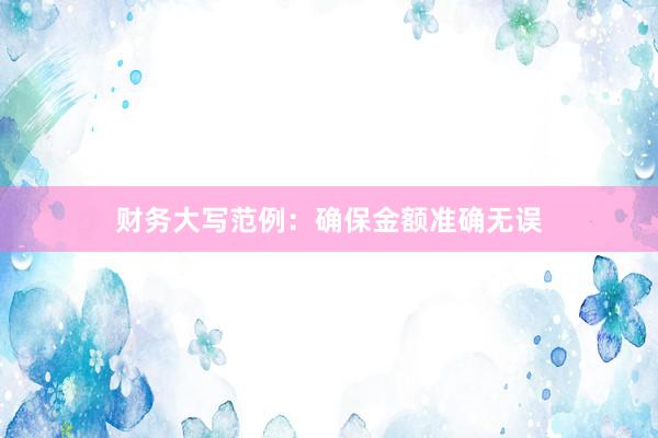 财务大写范例：确保金额准确无误