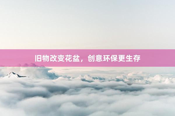 旧物改变花盆，创意环保更生存